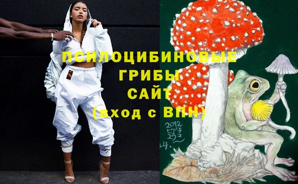 мдпв Абдулино
