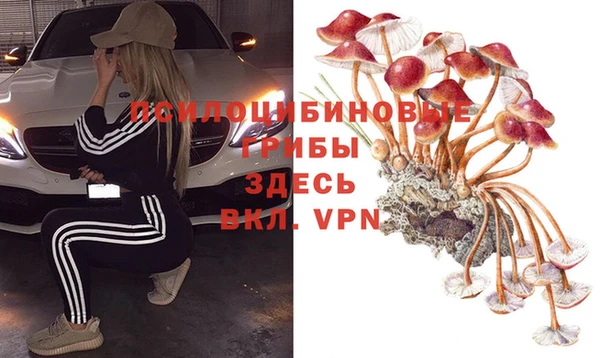 мдпв Абдулино