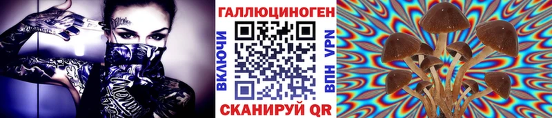 Псилоцибиновые грибы прущие грибы Сычёвка