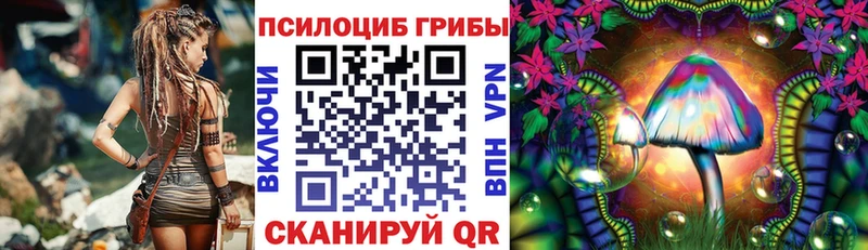 Галлюциногенные грибы Cubensis  Сычёвка 